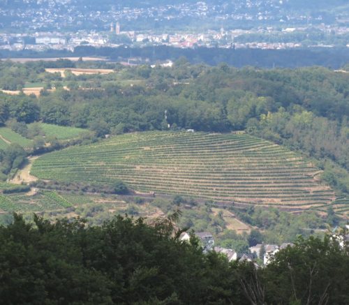 11072025Remstecken-Guels18