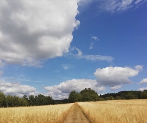 11072025Remstecken-Guels19