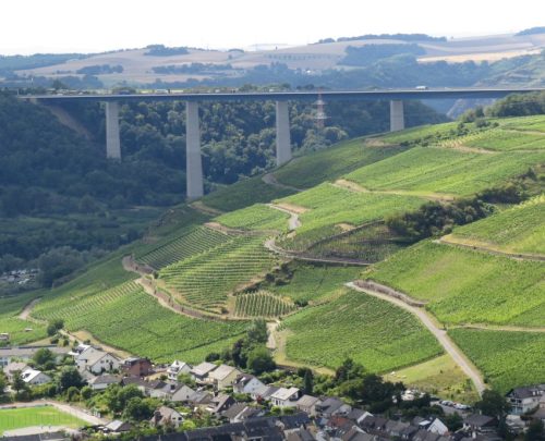 11072025Remstecken-Guels28