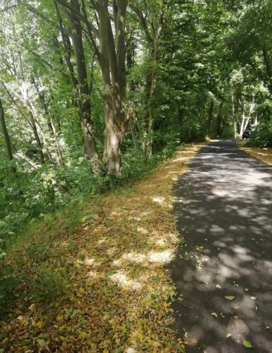 11072025Remstecken-Guels36b