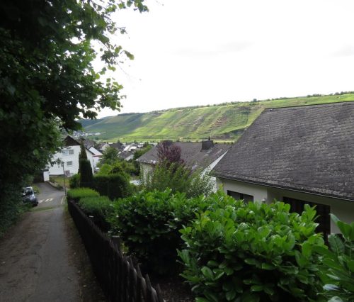11072025Remstecken-Guels39