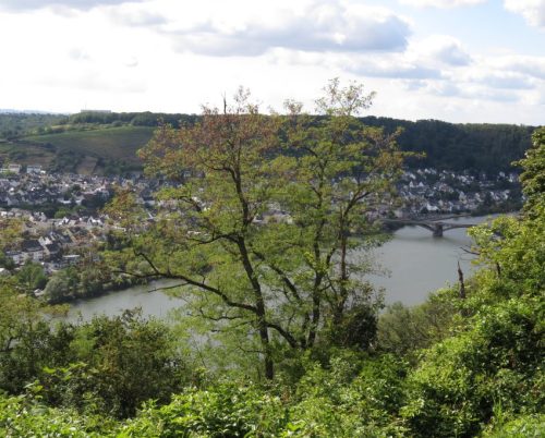 11072025Remstecken-Guels46