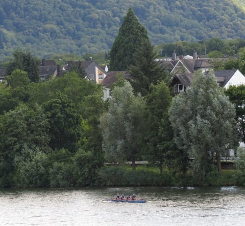 11072025Remstecken-Guels49