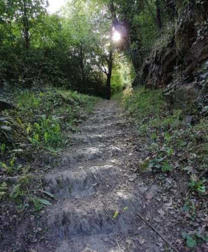 11082025BurgenmitBaybachtal003a