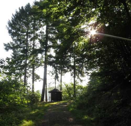 11082025BurgenmitBaybachtal004