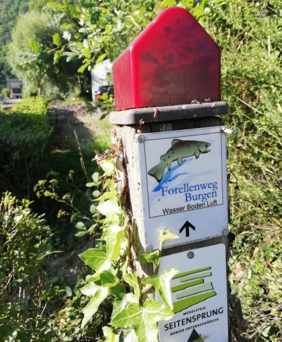 11082025BurgenmitBaybachtal005c