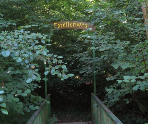 11082025BurgenmitBaybachtal009