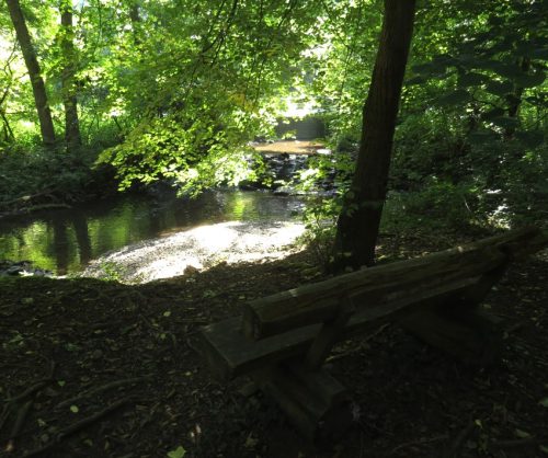 11082025BurgenmitBaybachtal010