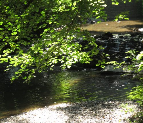 11082025BurgenmitBaybachtal011