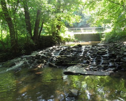 11082025BurgenmitBaybachtal013