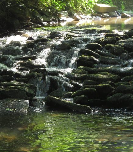 11082025BurgenmitBaybachtal016