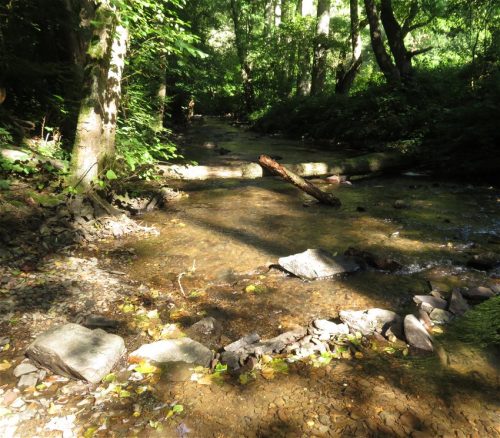 11082025BurgenmitBaybachtal017