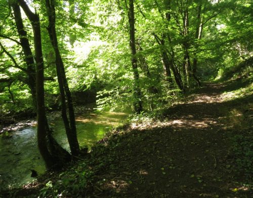 11082025BurgenmitBaybachtal018