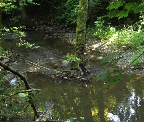 11082025BurgenmitBaybachtal019