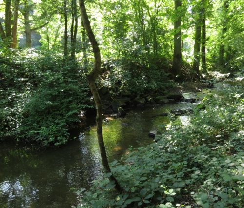 11082025BurgenmitBaybachtal020