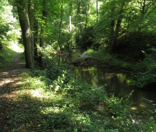 11082025BurgenmitBaybachtal021