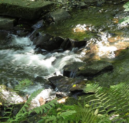 11082025BurgenmitBaybachtal023