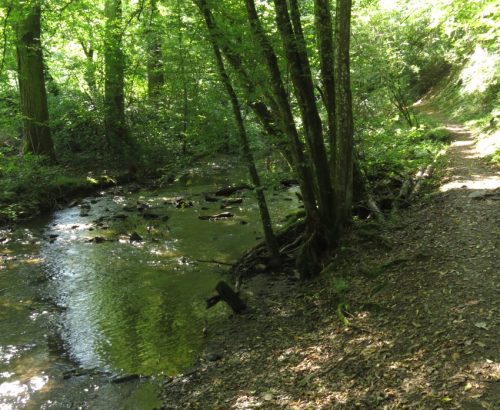 11082025BurgenmitBaybachtal026