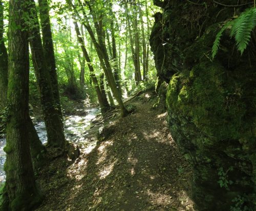 11082025BurgenmitBaybachtal027