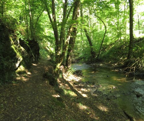 11082025BurgenmitBaybachtal028