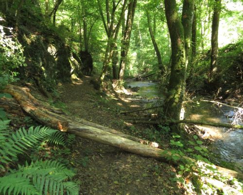 11082025BurgenmitBaybachtal029