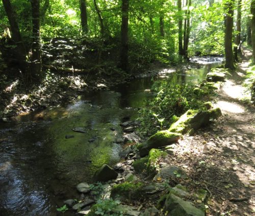 11082025BurgenmitBaybachtal030