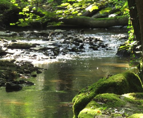 11082025BurgenmitBaybachtal031