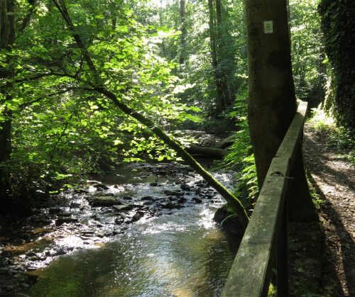 11082025BurgenmitBaybachtal032
