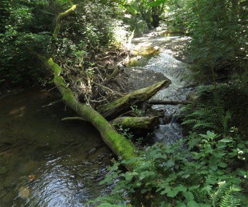 11082025BurgenmitBaybachtal033