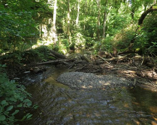 11082025BurgenmitBaybachtal034