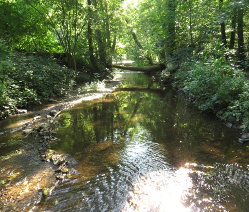 11082025BurgenmitBaybachtal035
