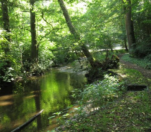 11082025BurgenmitBaybachtal036