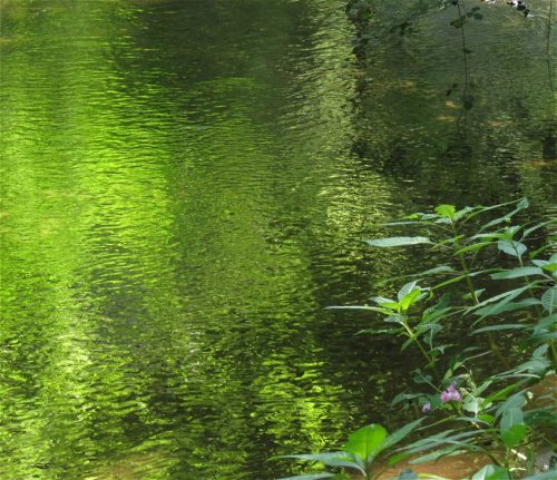 11082025BurgenmitBaybachtal037