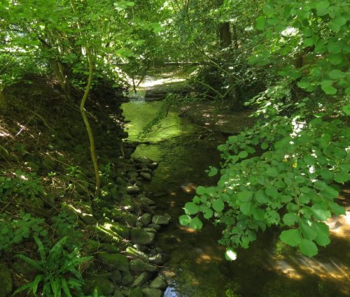 11082025BurgenmitBaybachtal038
