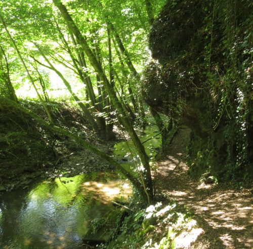 11082025BurgenmitBaybachtal040