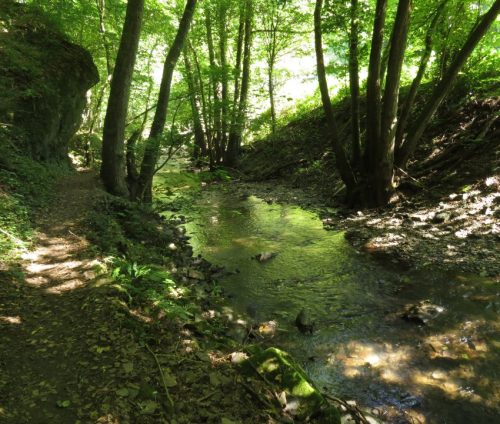 11082025BurgenmitBaybachtal043