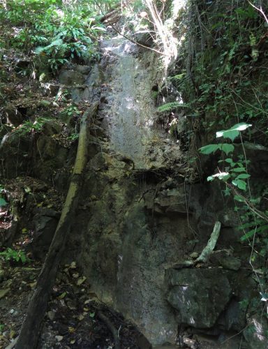 11082025BurgenmitBaybachtal044