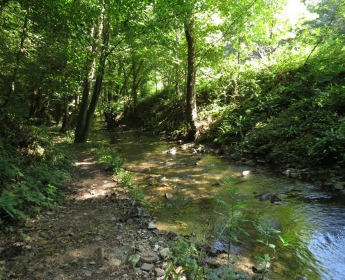 11082025BurgenmitBaybachtal045