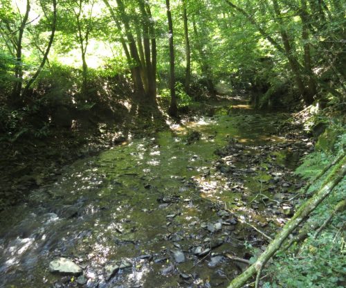 11082025BurgenmitBaybachtal046