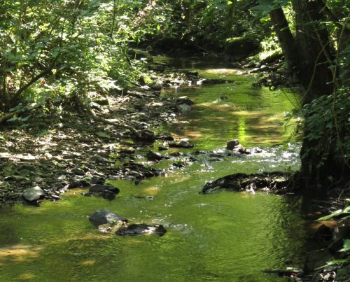 11082025BurgenmitBaybachtal047