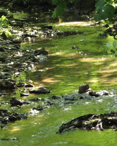 11082025BurgenmitBaybachtal048