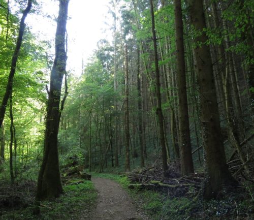 11082025BurgenmitBaybachtal049