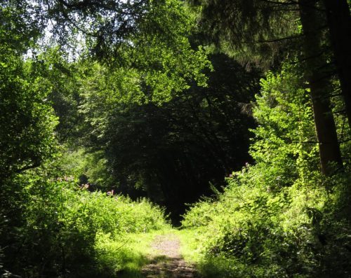11082025BurgenmitBaybachtal051