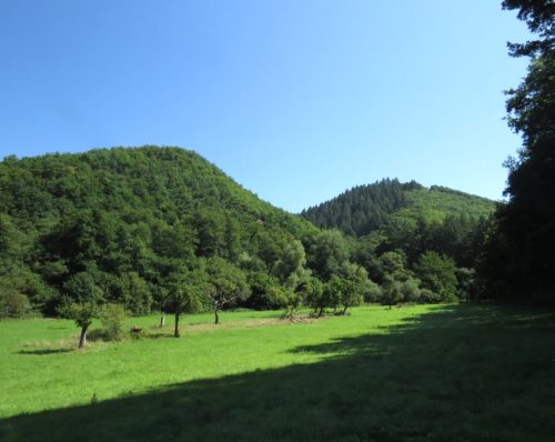 11082025BurgenmitBaybachtal052