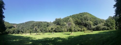 11082025BurgenmitBaybachtal052a