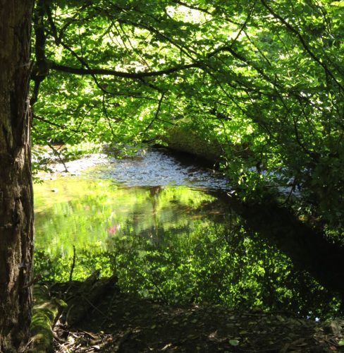 11082025BurgenmitBaybachtal053