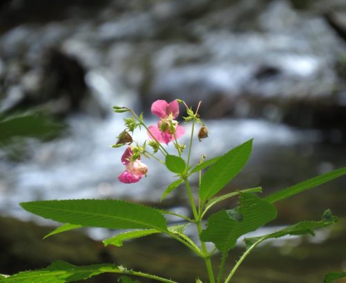 11082025BurgenmitBaybachtal054