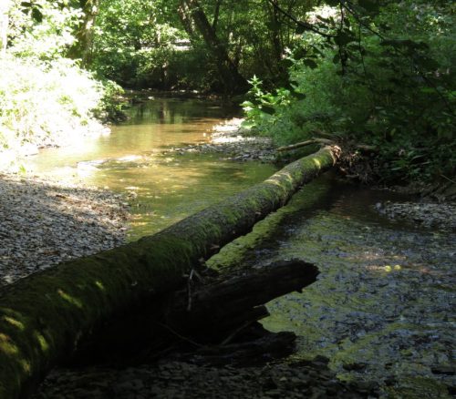 11082025BurgenmitBaybachtal056