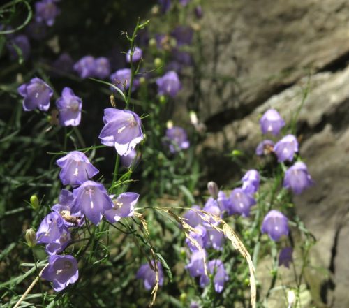 11082025BurgenmitBaybachtal057