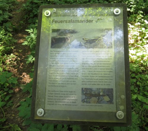 11082025BurgenmitBaybachtal060
